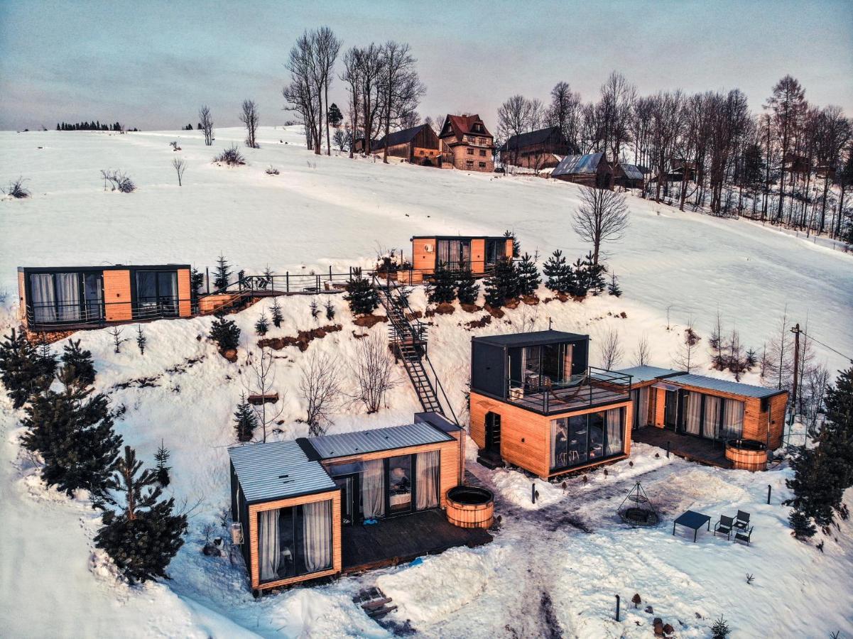 Вілла Rzepiska Hills Екстер'єр фото